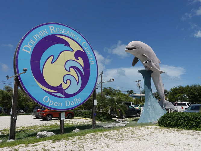 MIA_2023-08-11 11-54-51_RX_05848